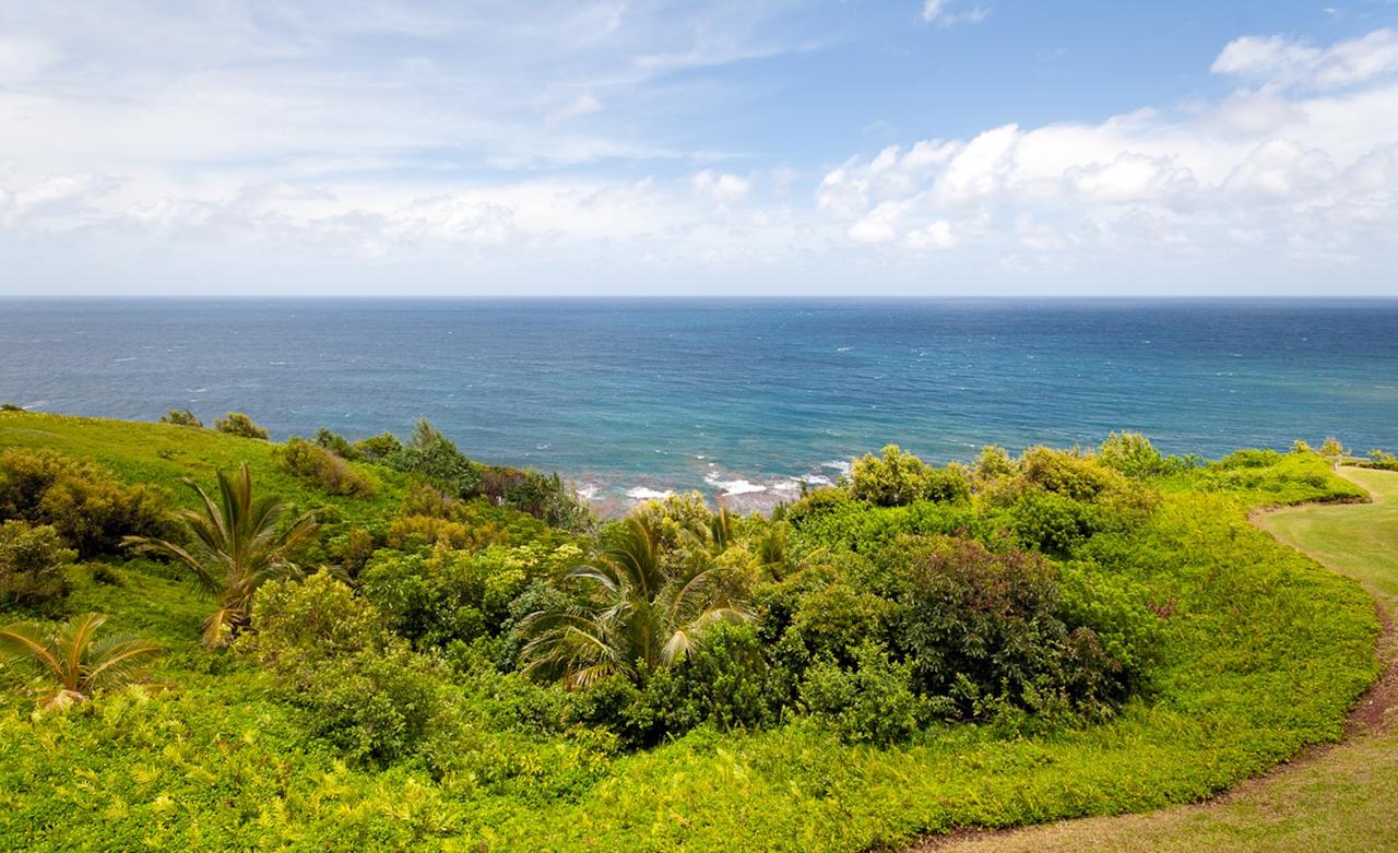 Alii Kai 5301 Condo - thumb 21