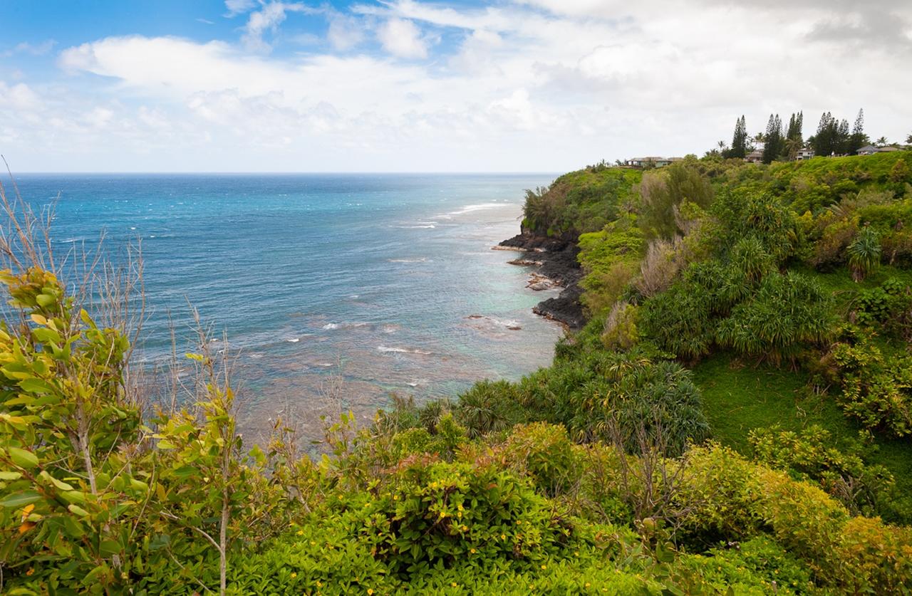 Alii Kai 5301 Condo - thumb 22