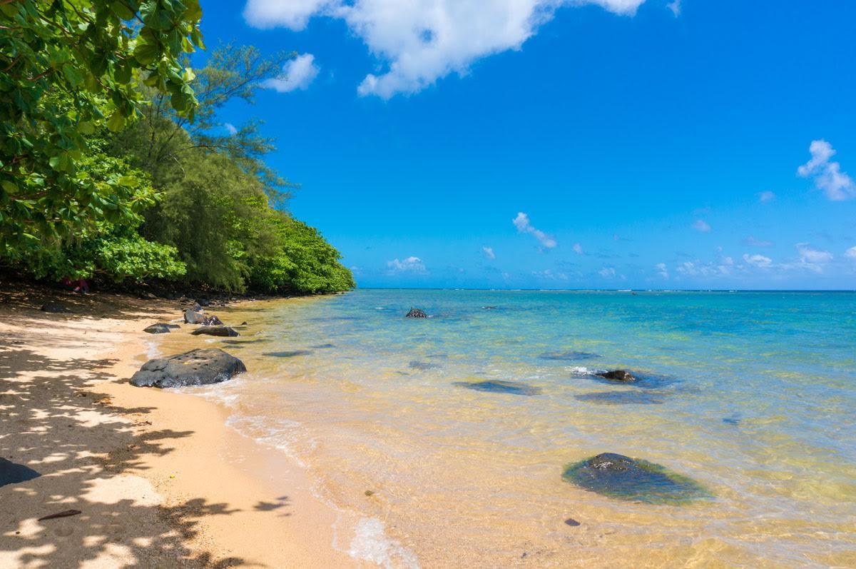 Alii Kai Ii 8H Condo - thumb 5