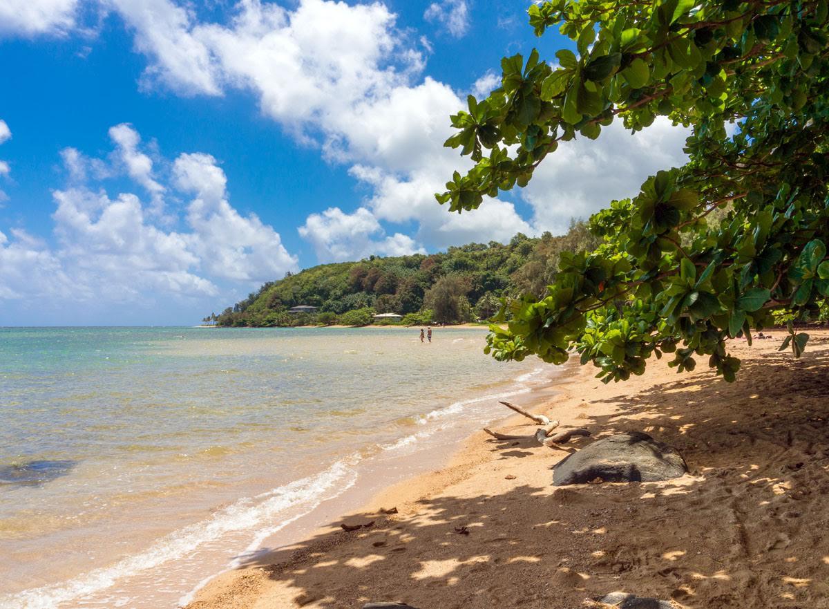 Alii Kai Ii 8H Condo - thumb 10