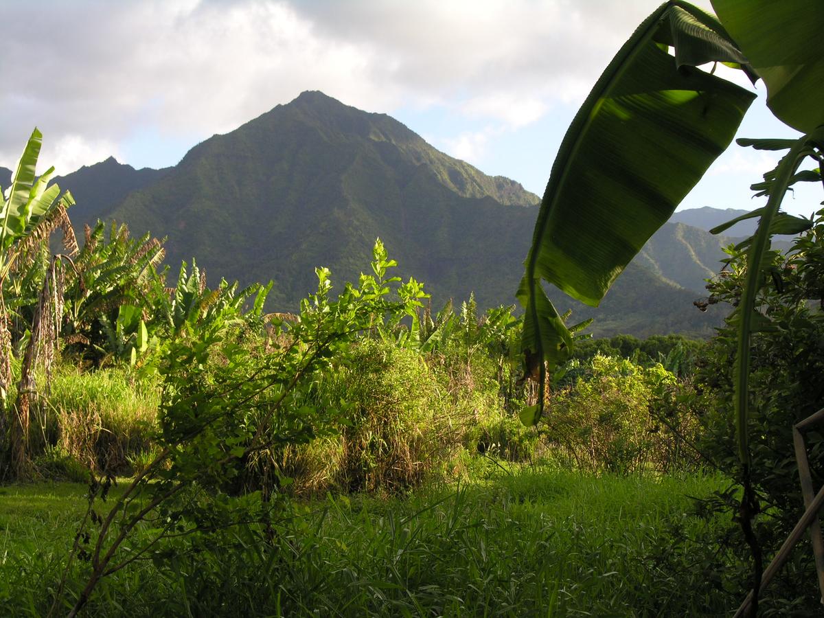 Coconut Cottage (TVNC#1298) - thumb 10