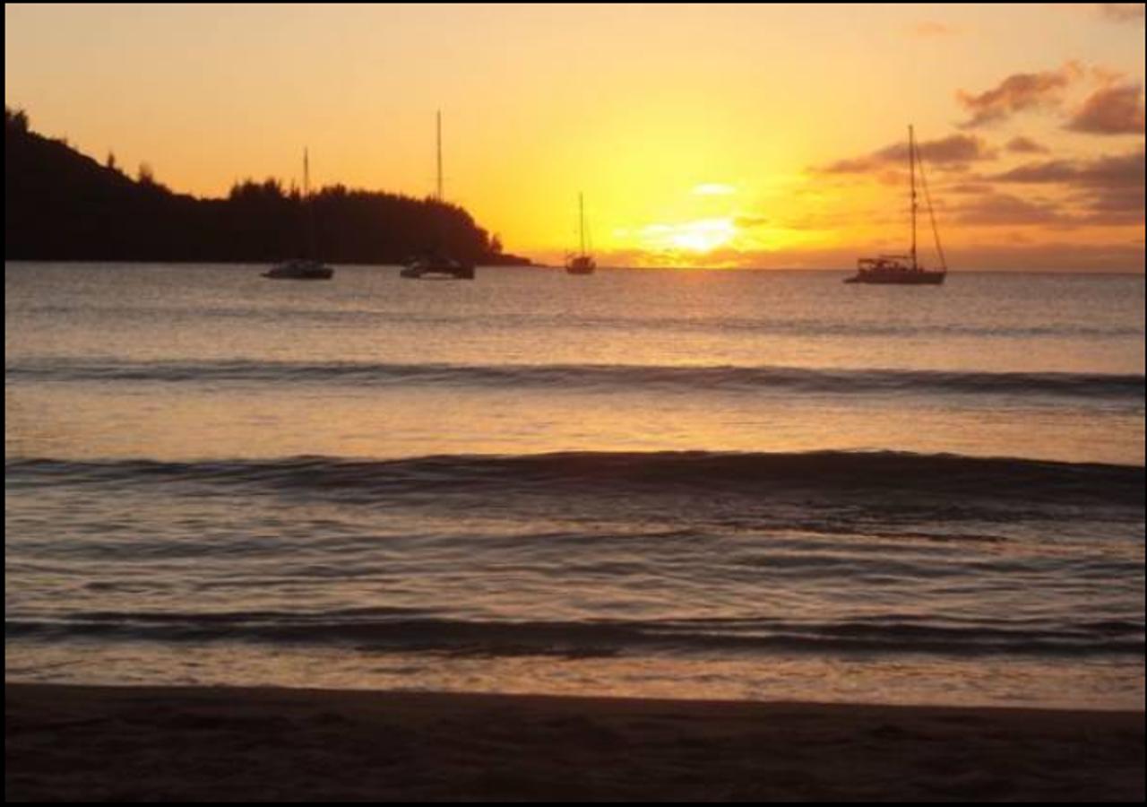 Coconut Cottage (TVNC#1298) - thumb 2