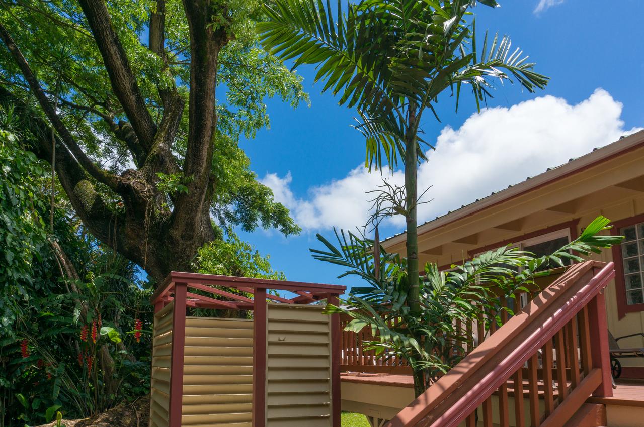 Coconut Cottage (TVNC#1298) - thumb 6