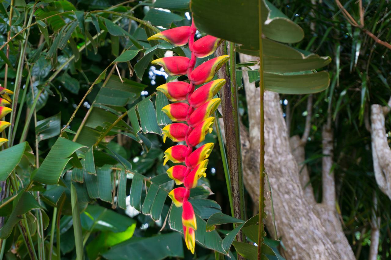 Coconut Cottage (TVNC#1298) - thumb 13