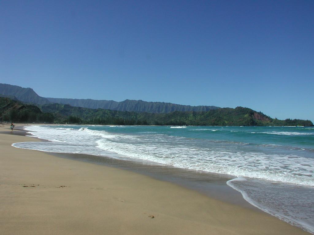 Coconut Cottage (TVNC#1298) - thumb 12