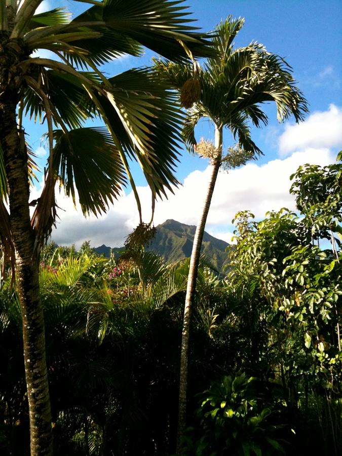 Coconut Cottage (TVNC#1298) - thumb 24