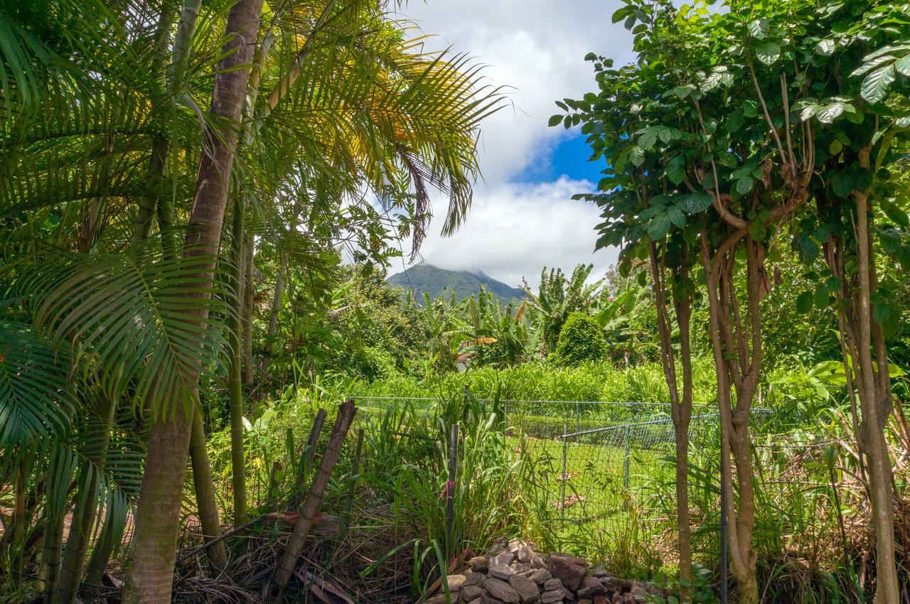 Coconut Cottage (TVNC#1298) - thumb 21