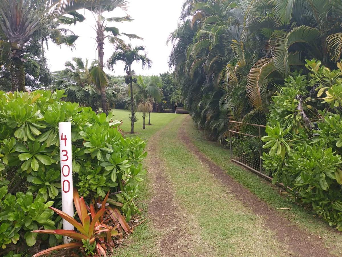 Twin Hearts - thumb 7