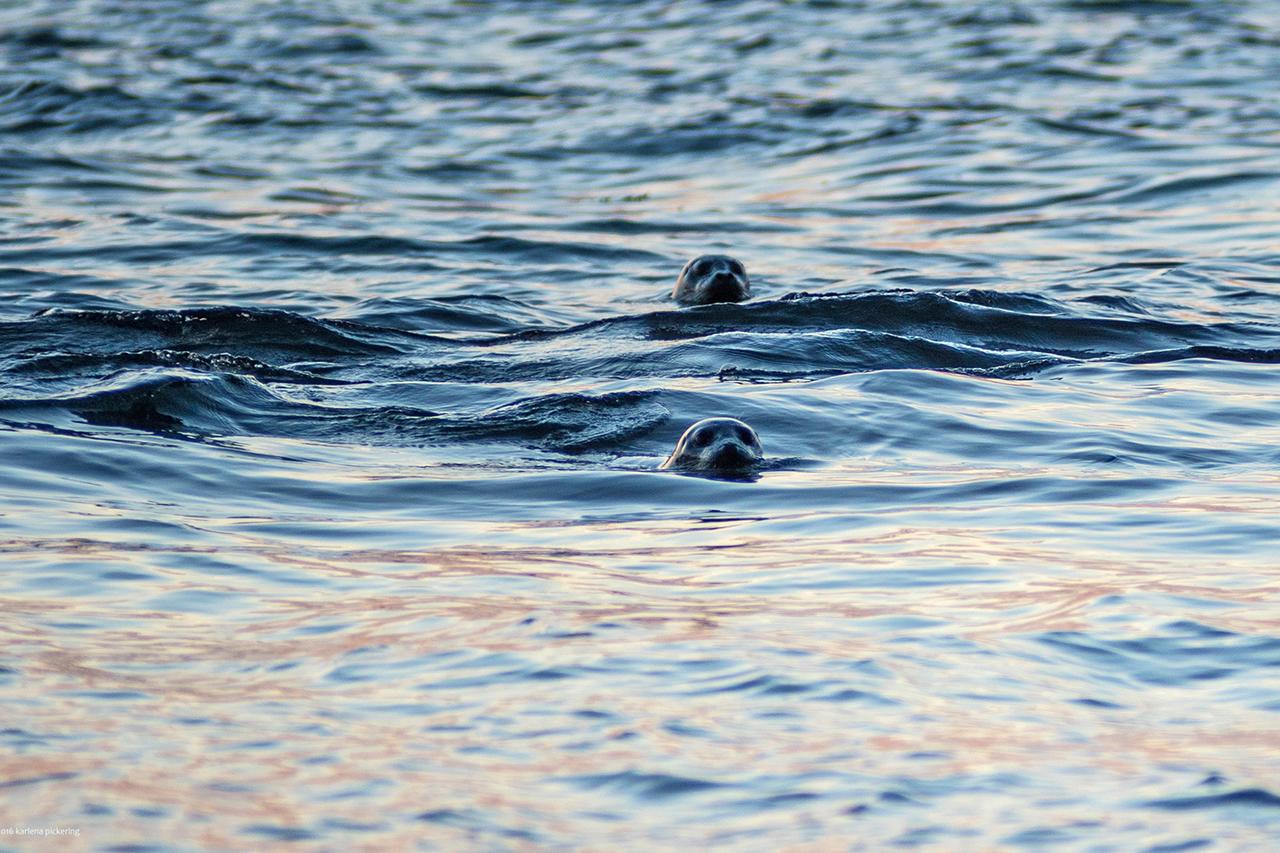 Milagra Guest House - thumb 43