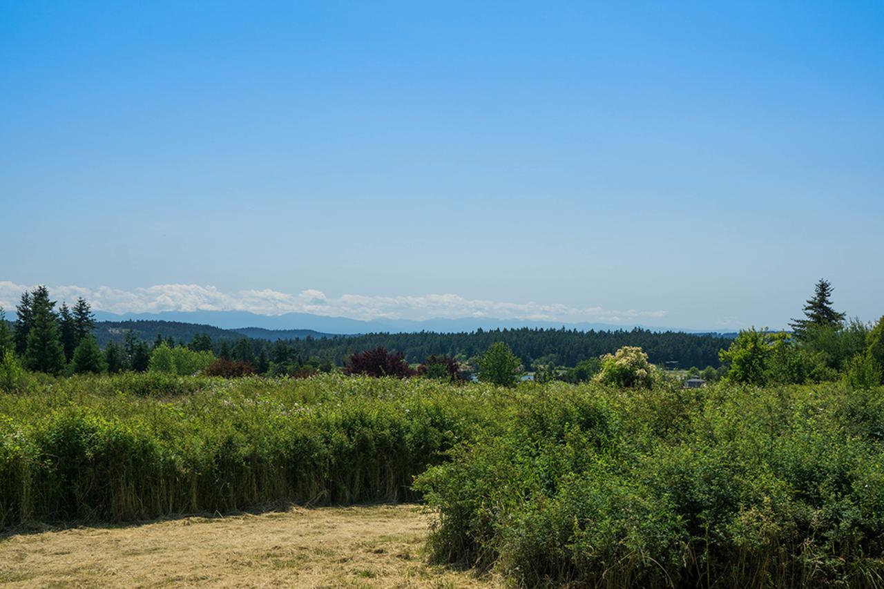 Milagra Guest House - thumb 39