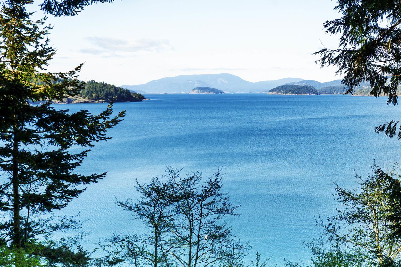 57 Mud Bay - thumb 17