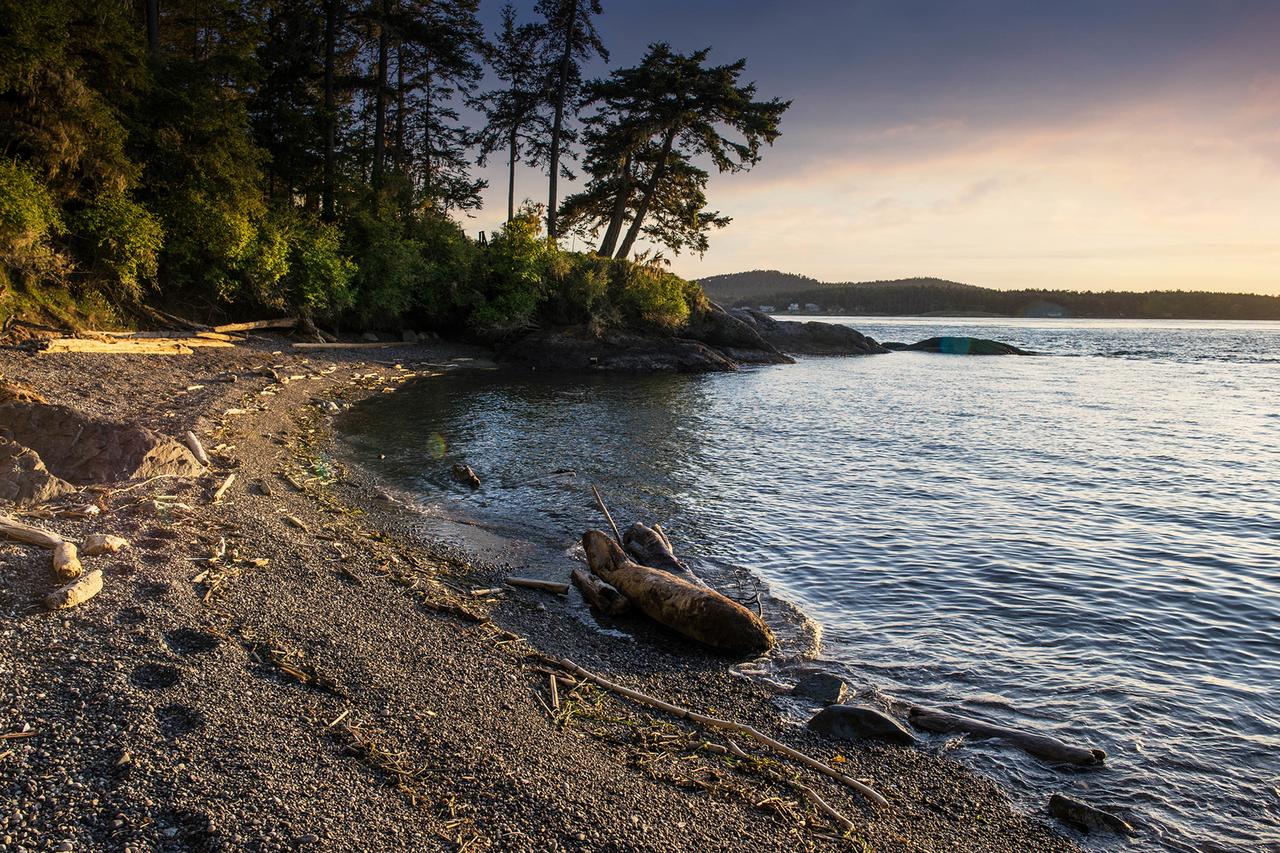 57 Mud Bay - thumb 14