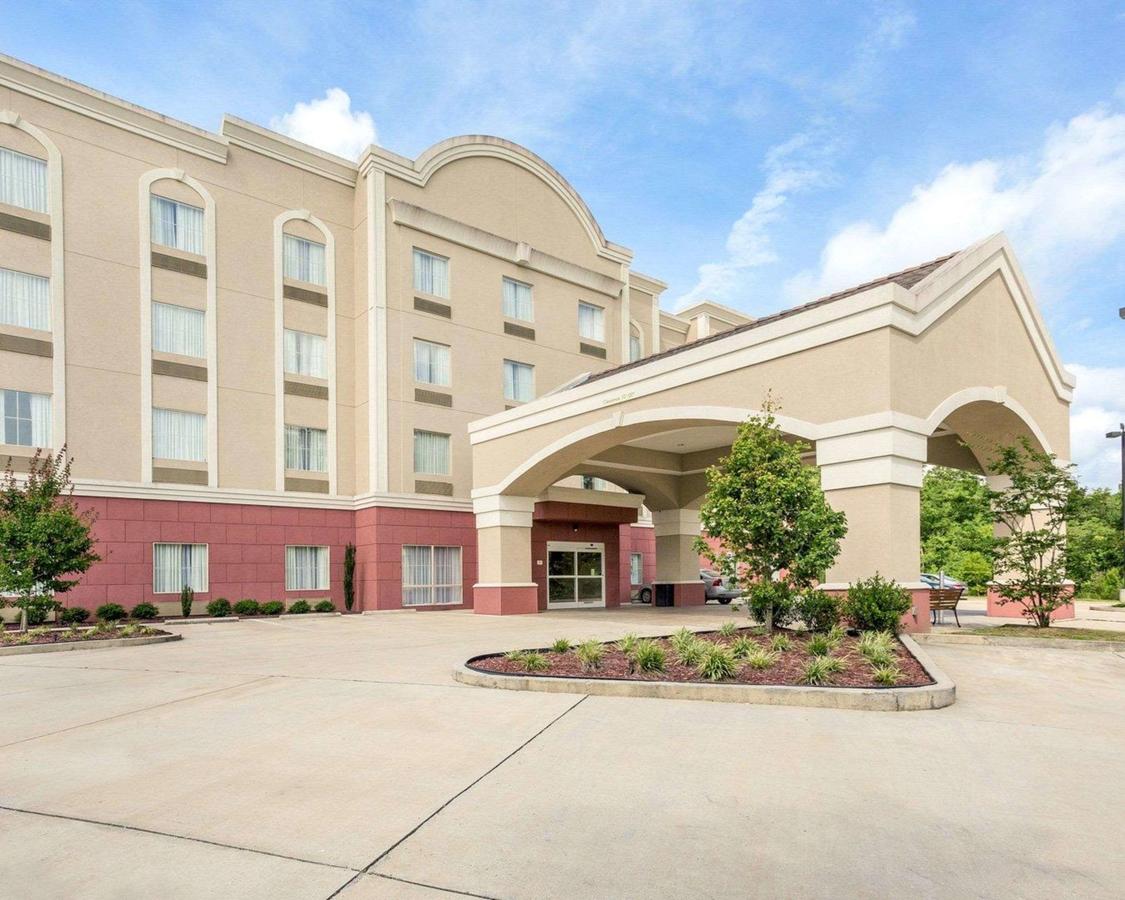 Comfort Suites Mandeville - thumb 7