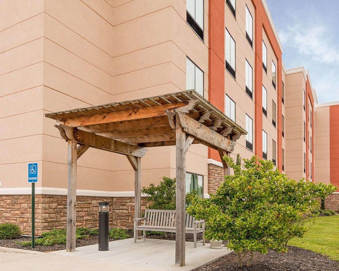 Comfort Suites Bossier City - thumb 23