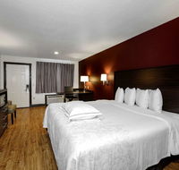 Red Roof Inn Hammond - USA Accommodation