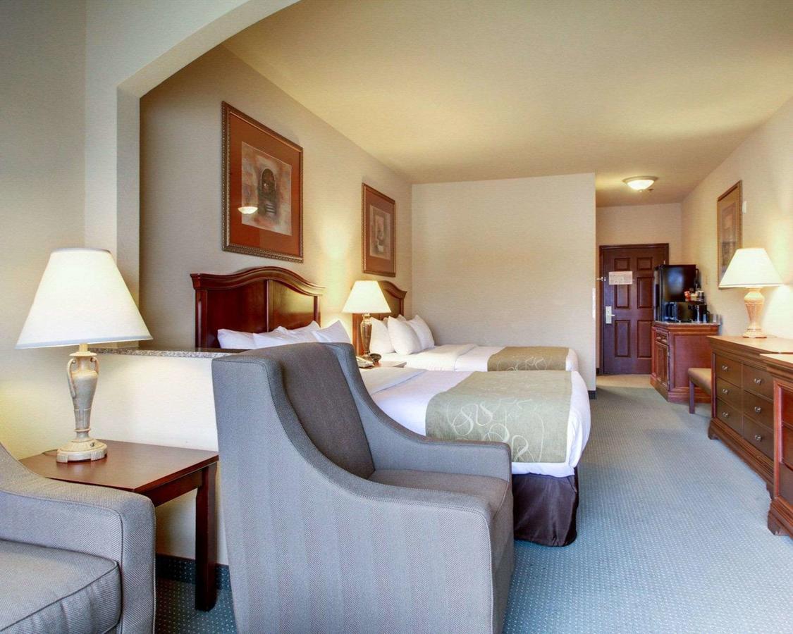 Comfort Suites Vidalia - thumb 23