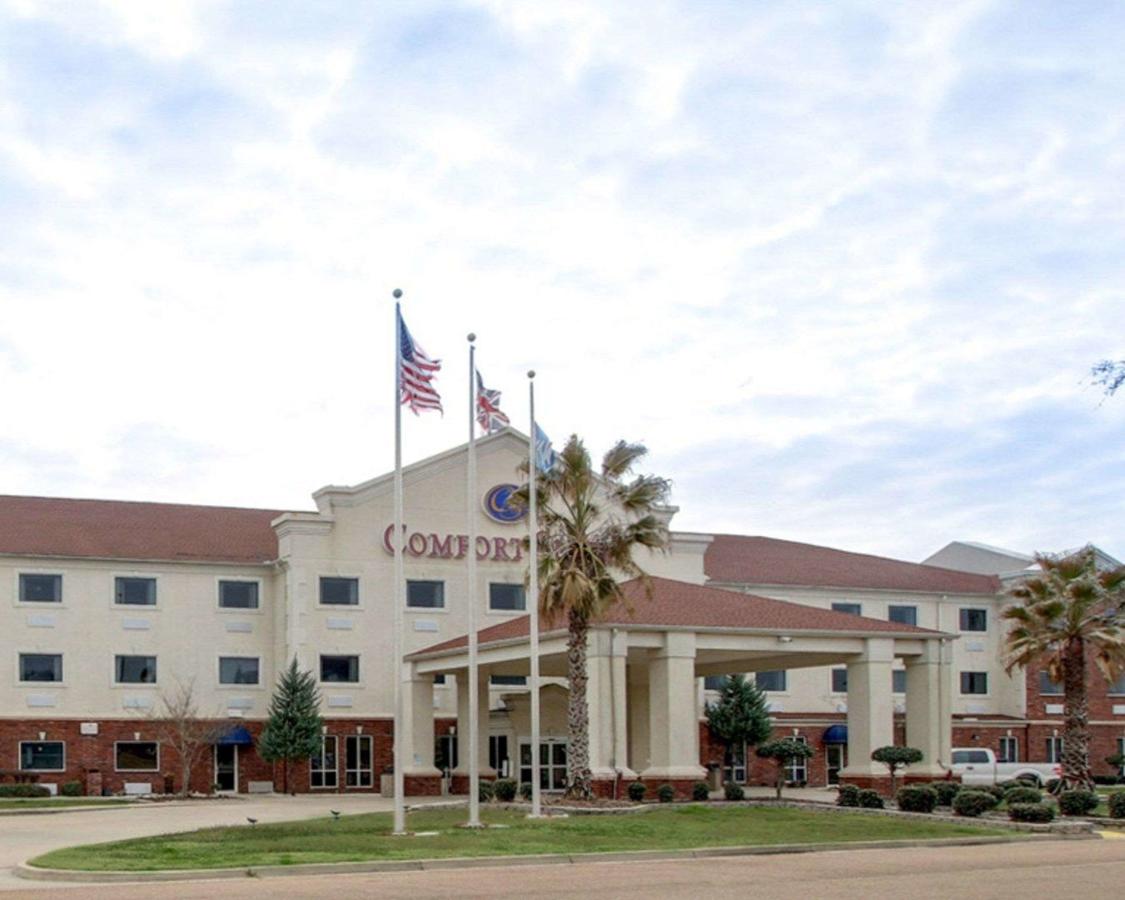 Comfort Suites Vidalia - thumb 28