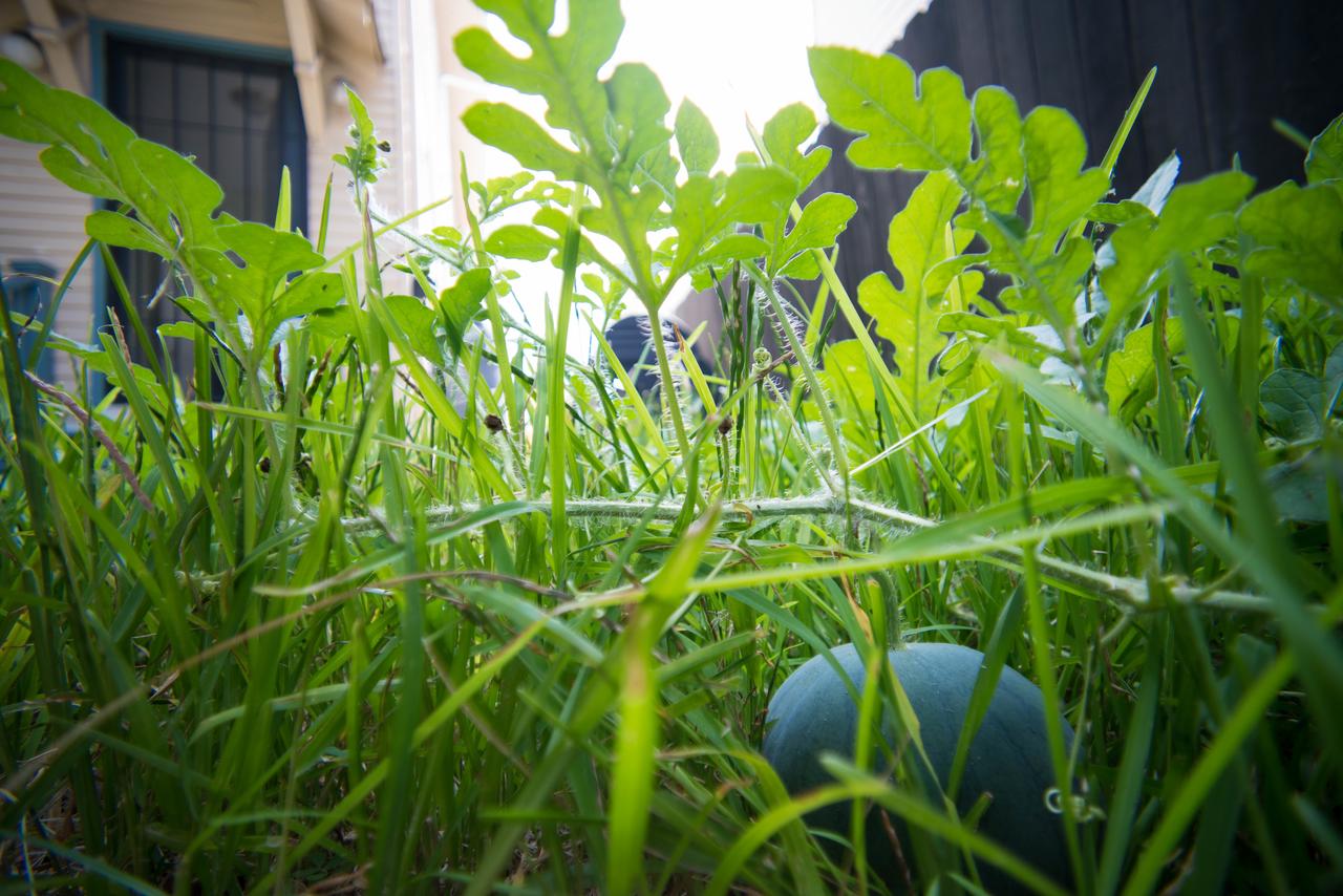 1800 Sf Townhome Minutes To Everything - thumb 17