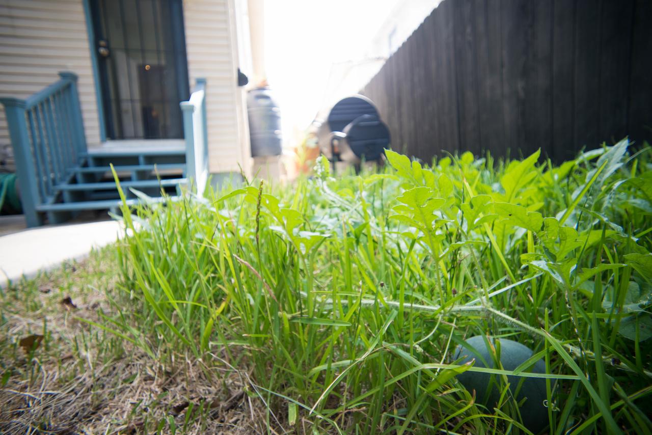 1800 Sf Townhome Minutes To Everything - thumb 16