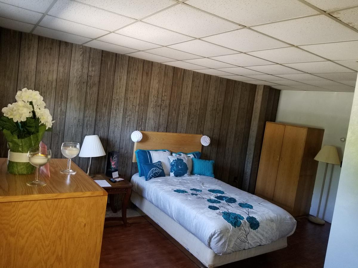 Pittsfield Motor Inn - thumb 20