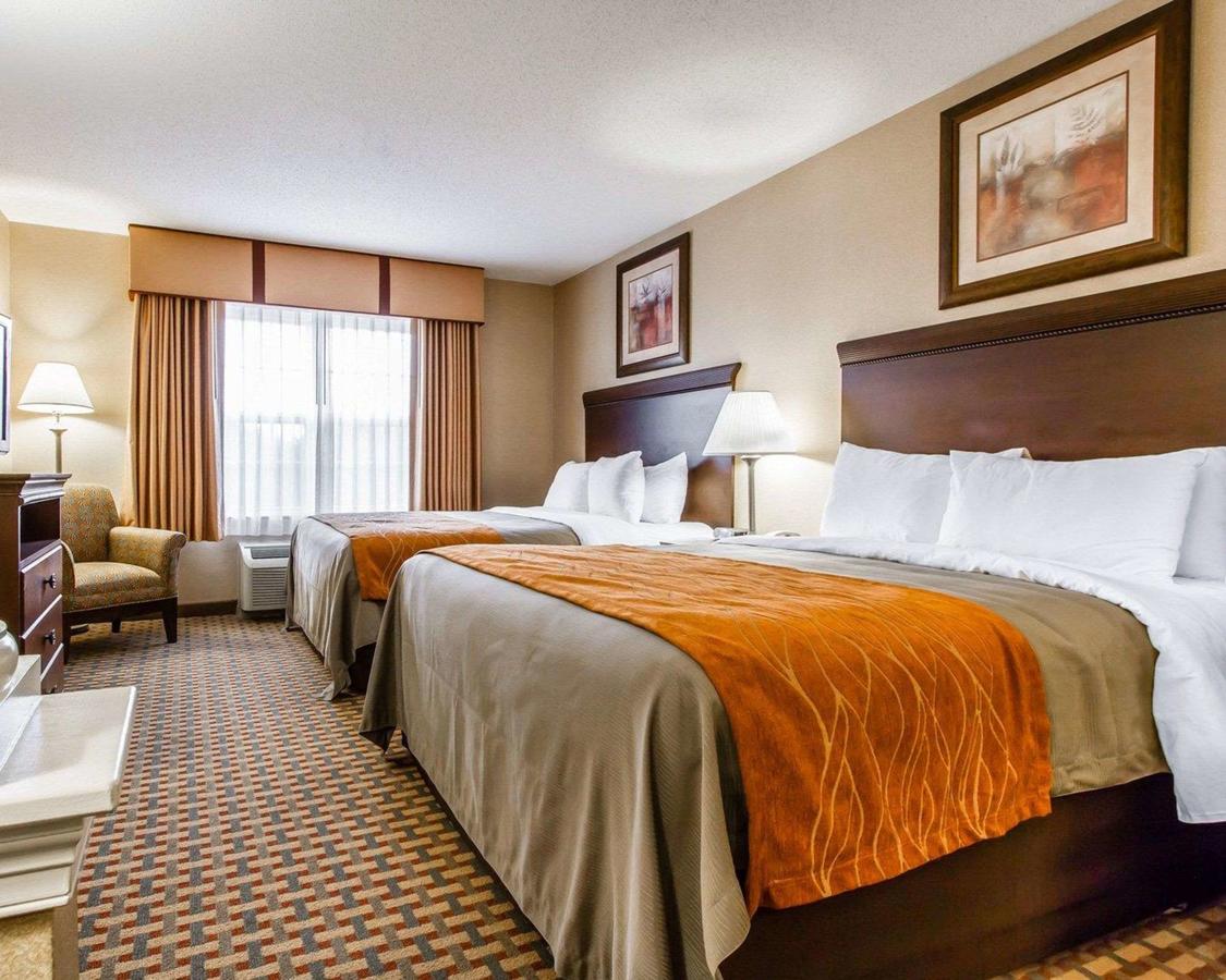 Comfort Inn & Suites Scarborough - thumb 4