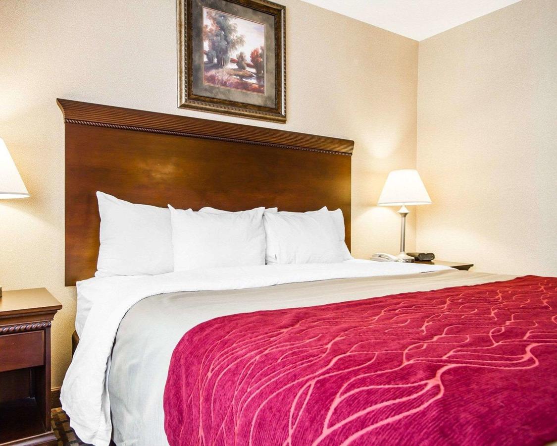 Comfort Inn & Suites Scarborough - thumb 33