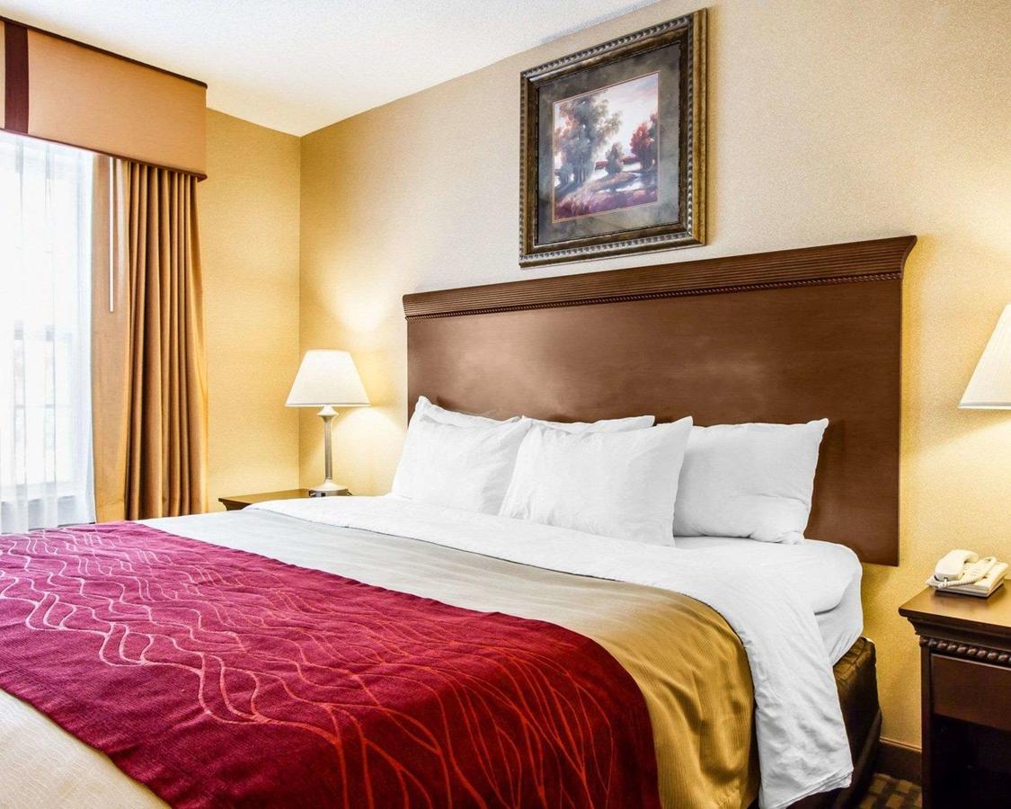 Comfort Inn & Suites Scarborough - thumb 2