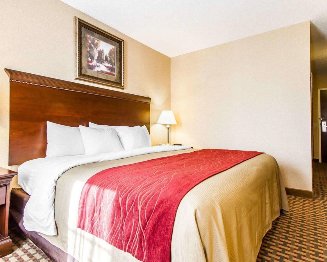 Comfort Inn & Suites Scarborough - thumb 1