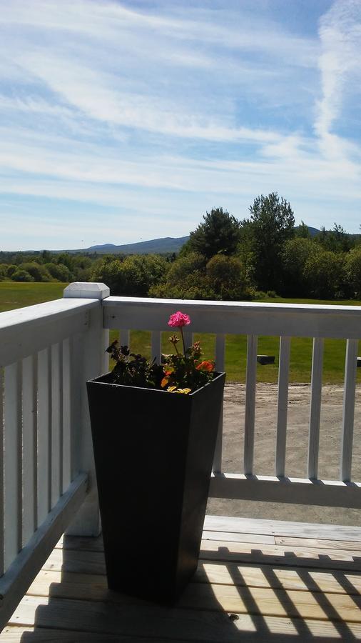 Leisure Life - thumb 21