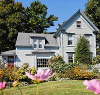 Black Lantern BB - Tourism Bookings