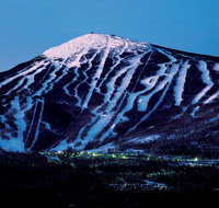 Sugarloaf - Tourism Bookings