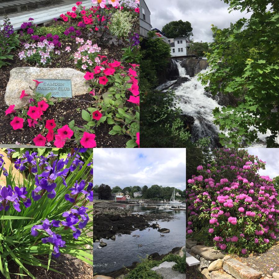 Camden Riverhouse Hotel And Inn - thumb 38