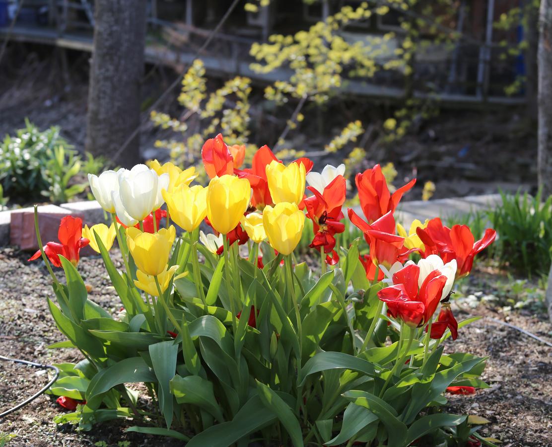 Camden Riverhouse Hotel And Inn - thumb 34