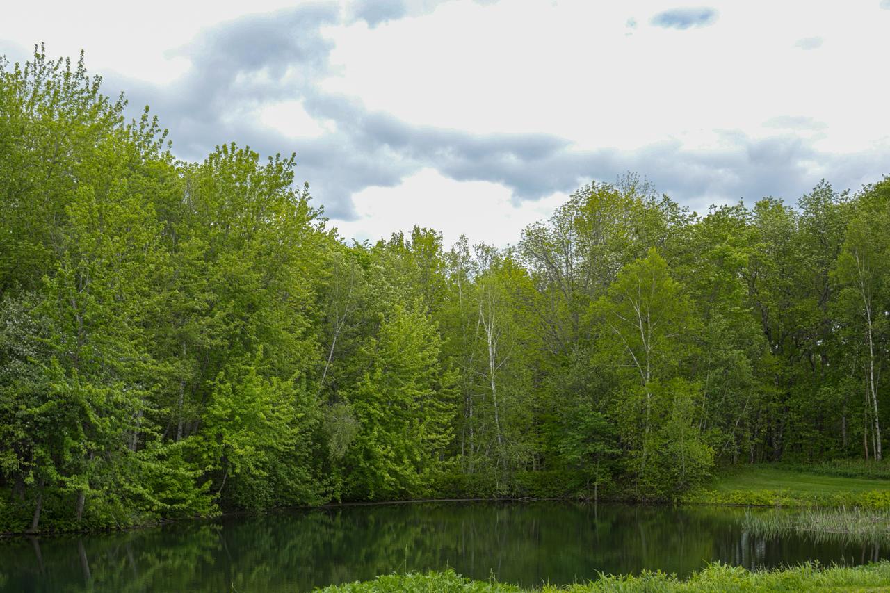 Riverbend - thumb 12