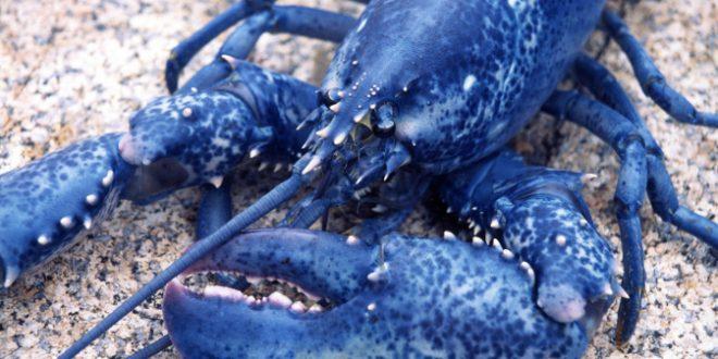 Harbor House Inn - thumb 24