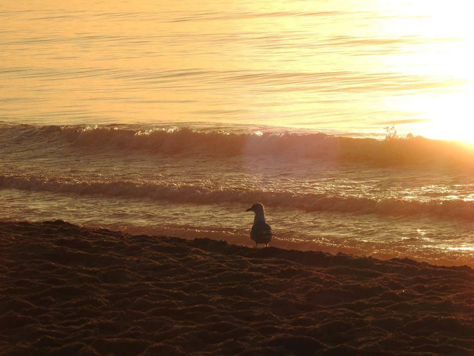 Atlantis Motel - thumb 9