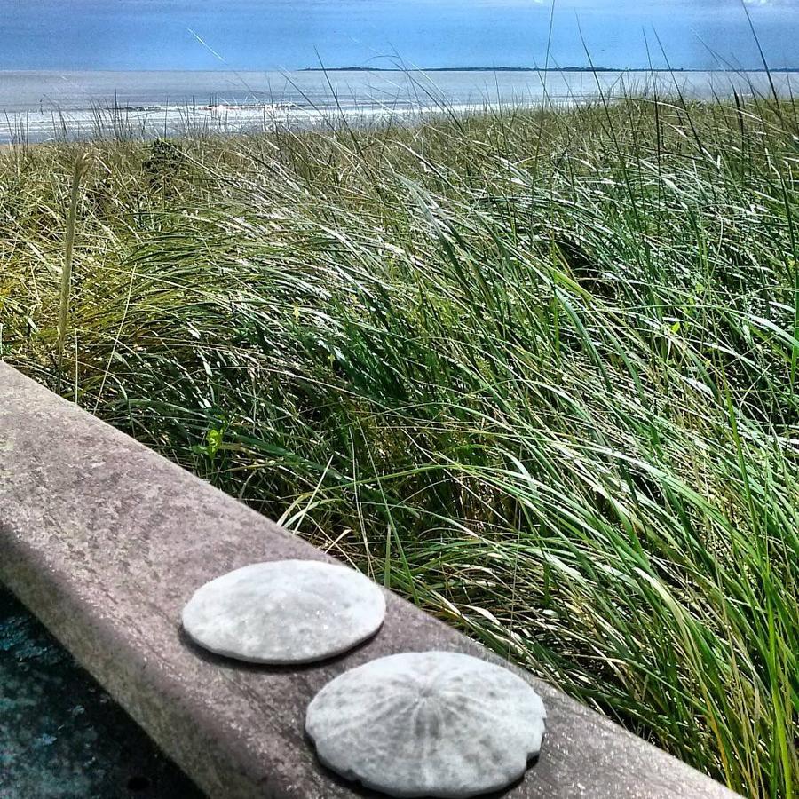 Atlantis Motel - thumb 3