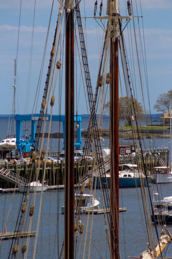 Peaceful Retreat - thumb 19