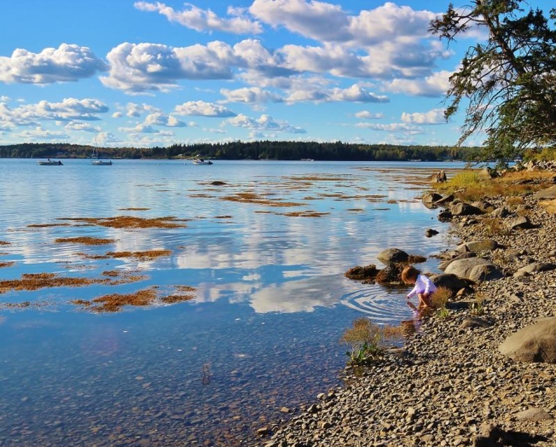 Tide River - thumb 12