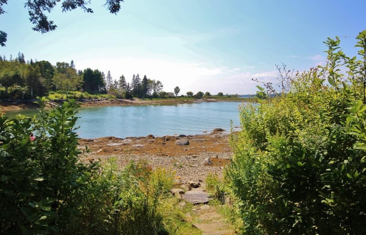 Tide River - thumb 8