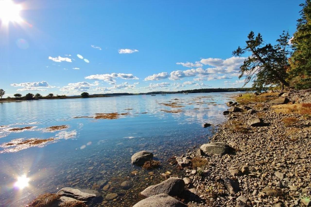 Tide River - thumb 1