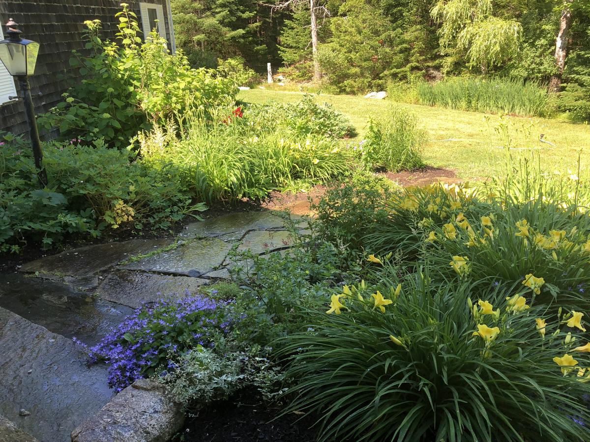 60 Middle Rd House - thumb 21