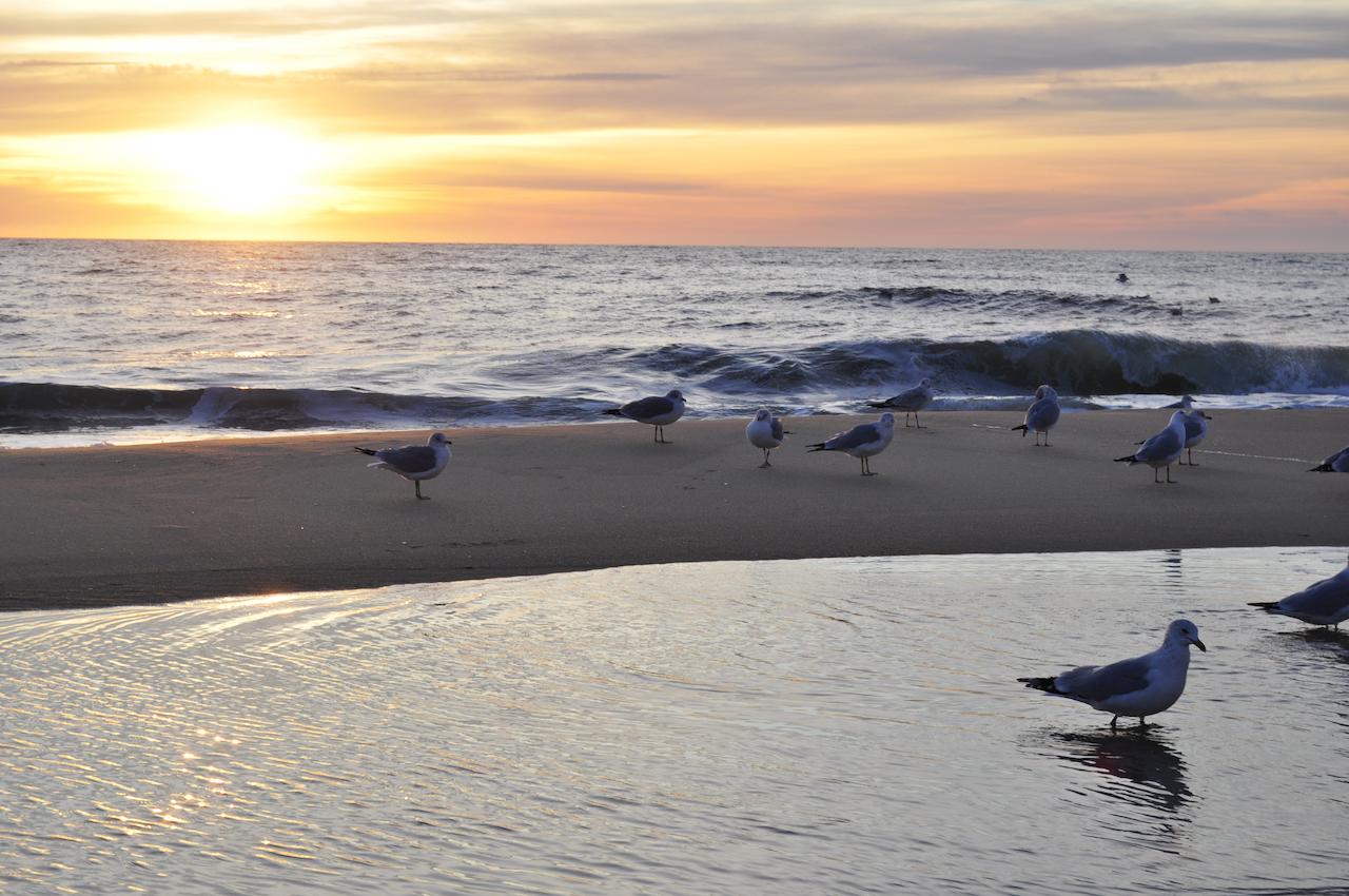 Crystal Beach Hotel - thumb 26