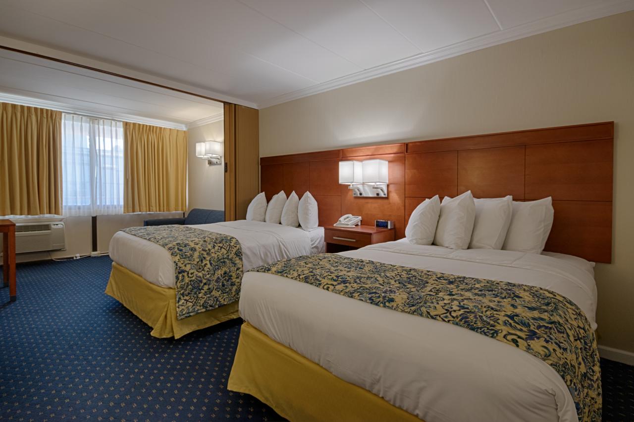 The Spinnaker - thumb 3