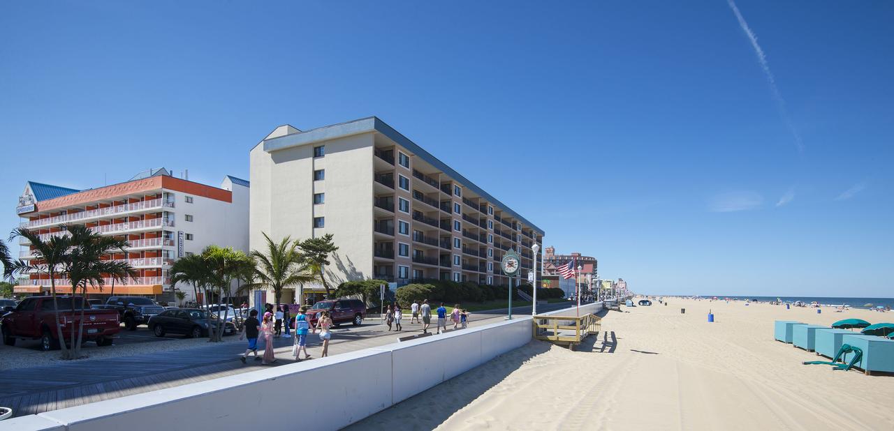 The Spinnaker - thumb 20