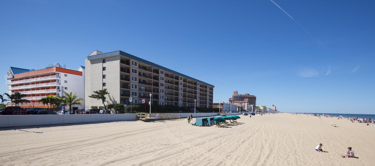 The Spinnaker - thumb 21