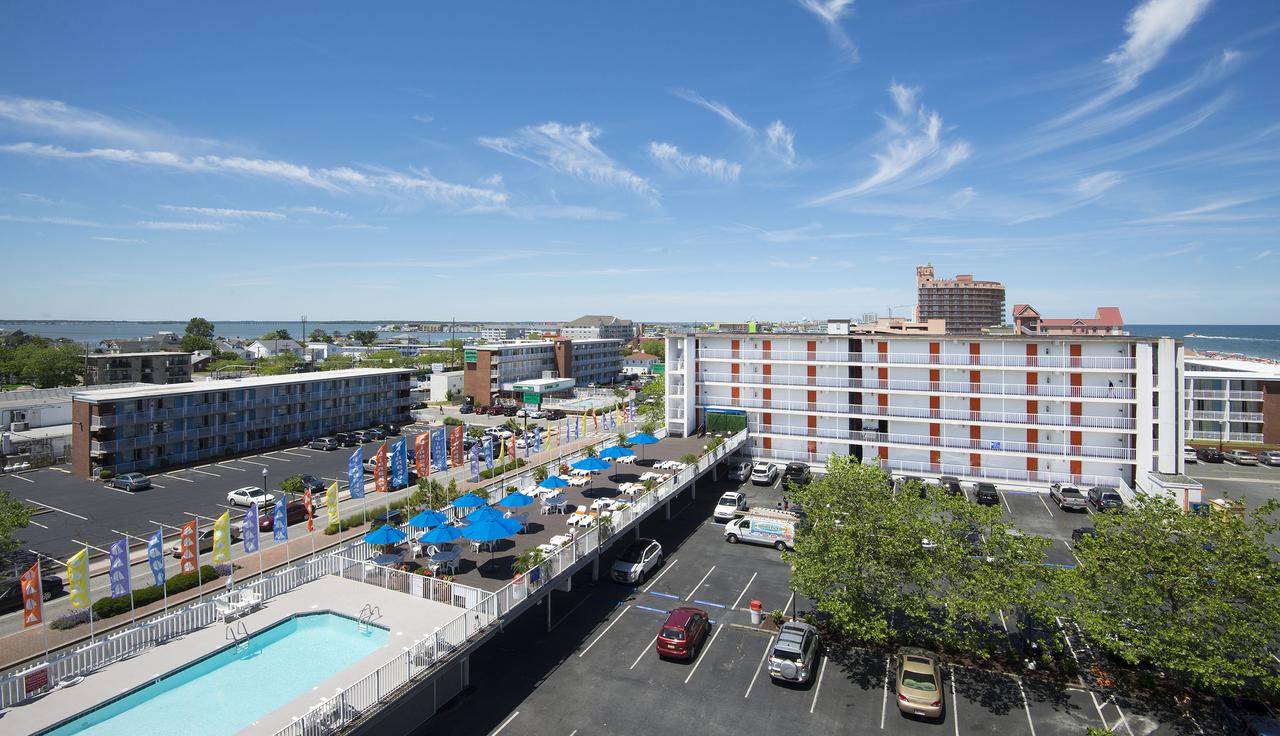 The Spinnaker - thumb 23