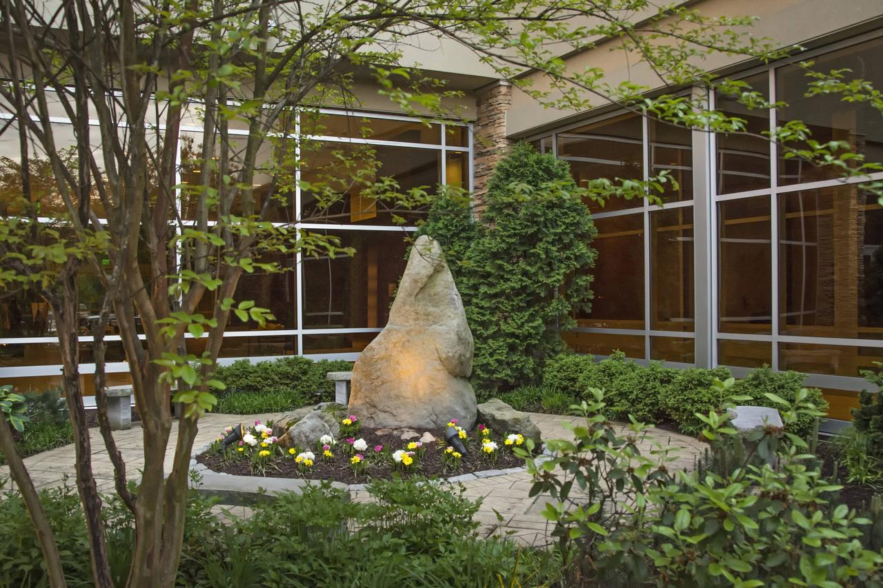 The Westin Baltimore Washington Airport - BWI - thumb 6