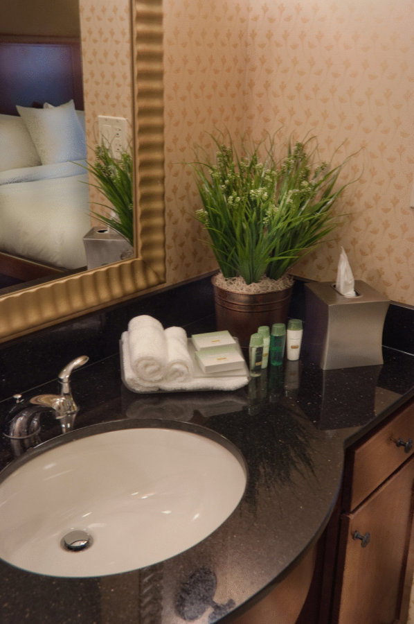 Homewood Suites By Hilton Rockville- Gaithersburg - thumb 6
