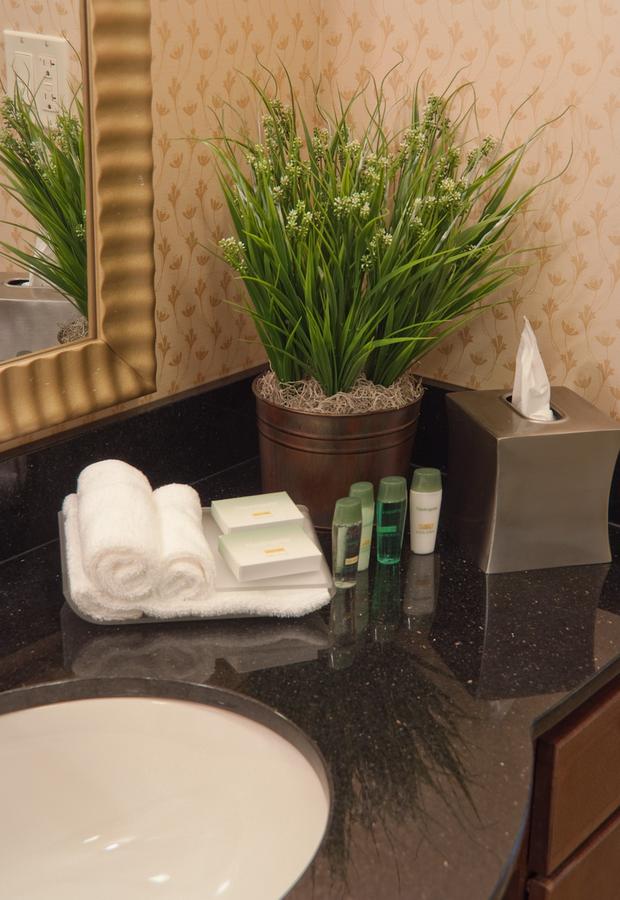 Homewood Suites By Hilton Rockville- Gaithersburg - thumb 22